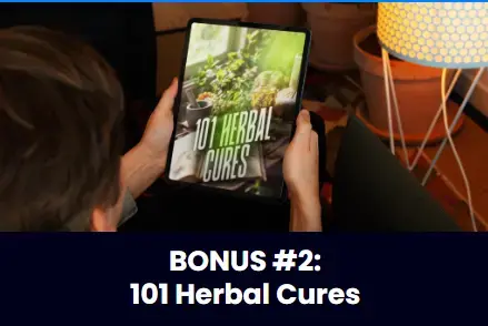 Brainergy Free Bonus 5